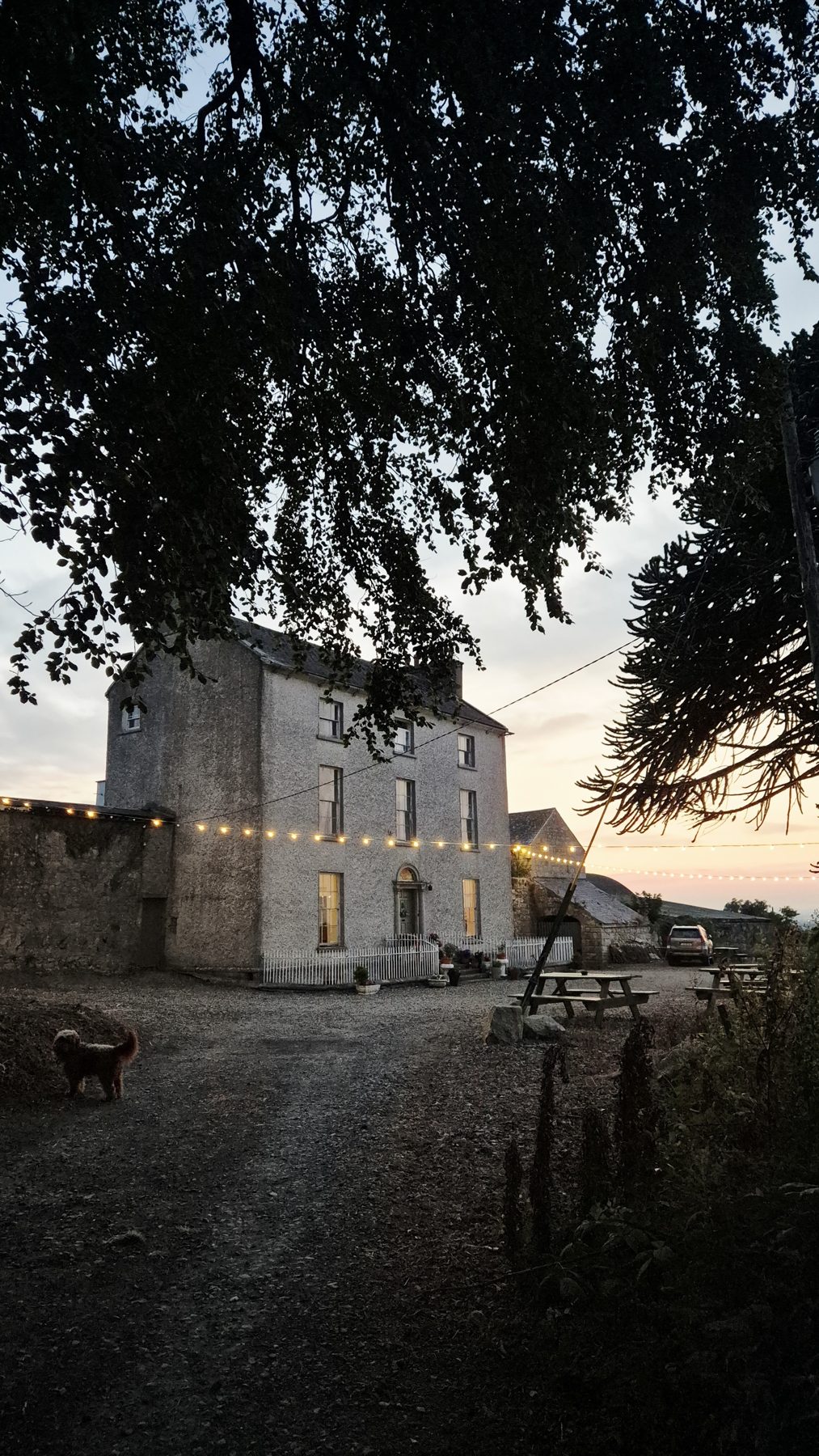 Kyle Park manor house framed by mature estate trees