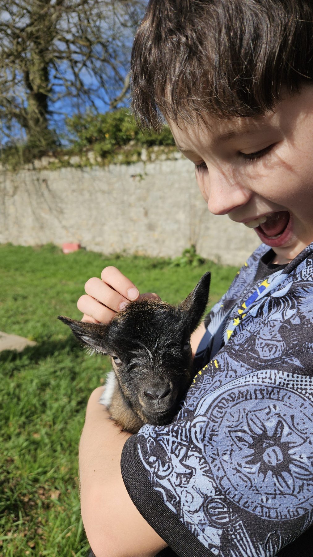 Pet the Kyle Park pygmy goats